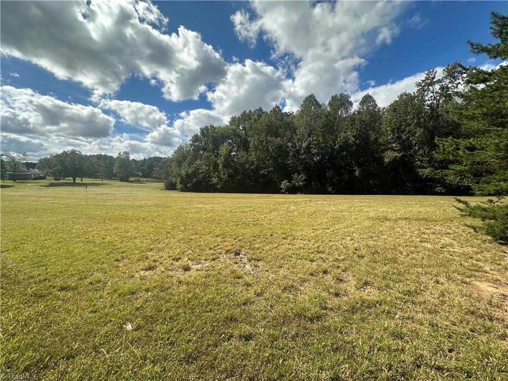 8410 Linville Road Oak Ridge, NC 27310 - Photo 9 of 37