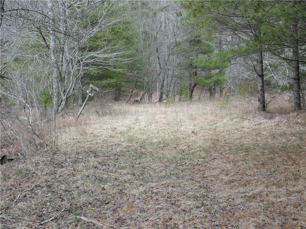 Tbd Glade Valley Road Sparta, NC 28675 - Photo 20 of 30