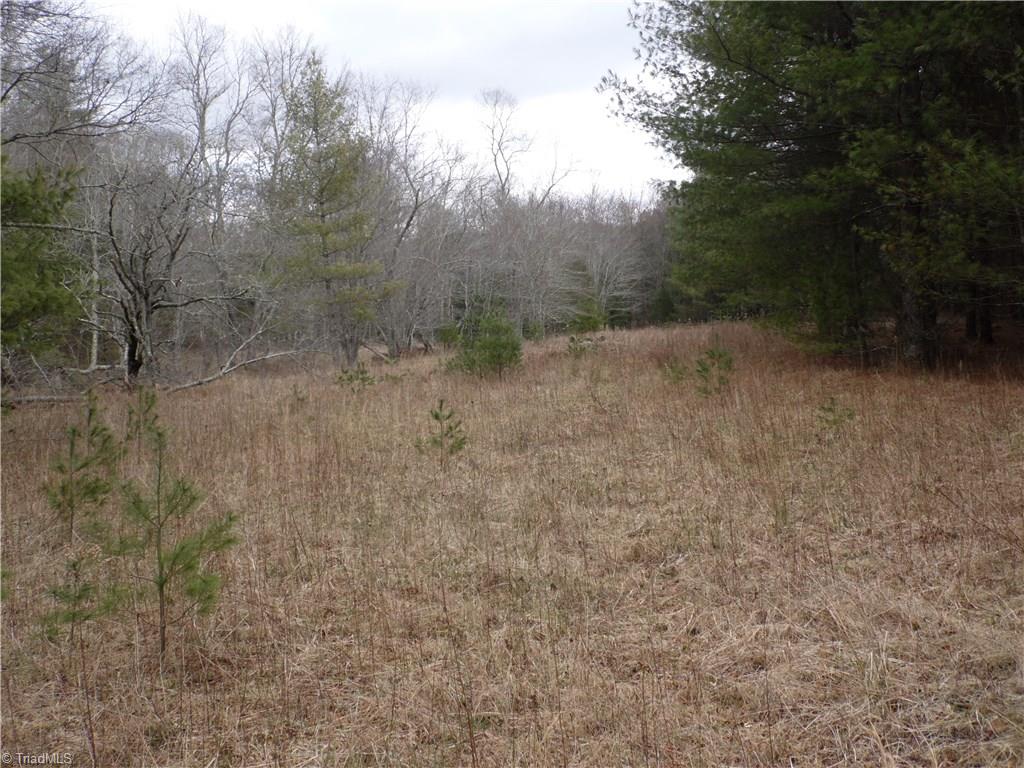 Tbd Glade Valley Road Sparta, NC 28675 - Photo 22 of 30