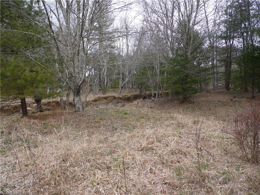 Tbd Glade Valley Road Sparta, NC 28675 - Photo 28 of 30