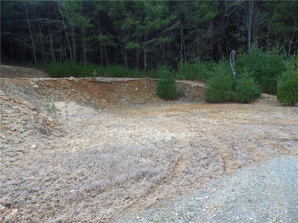 Tbd Glade Valley Road Sparta, NC 28675 - Photo 10 of 30