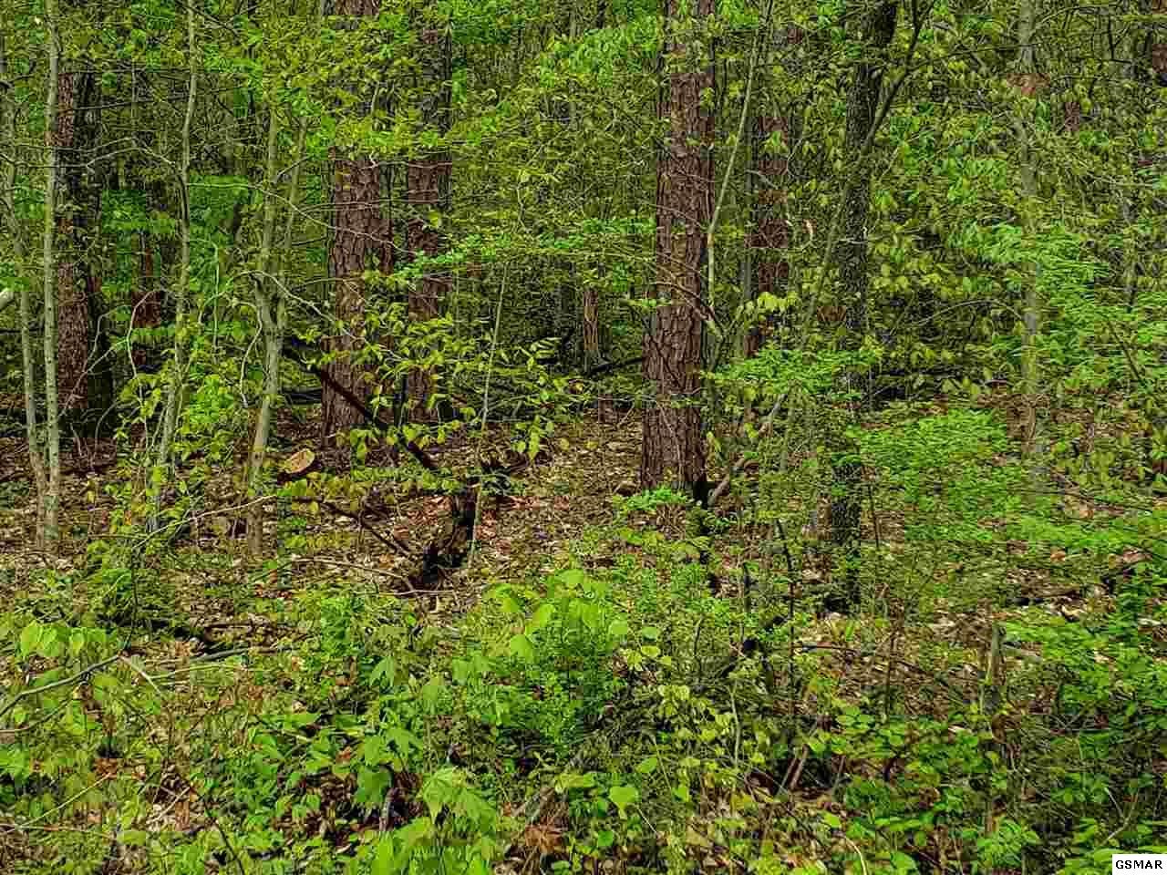 68 North Rushy Springs Road Talbott, TN 37877 - Photo 3 of 3 Gallery Image 3