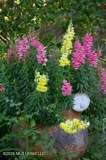 $345,000 | 176 Will Stutely Drive, Brandon, MS 39042