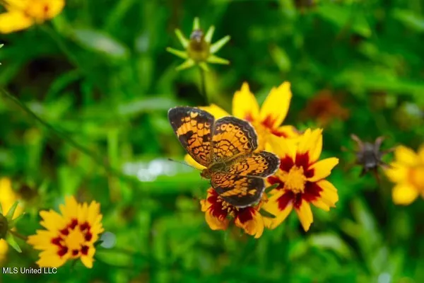 $375,000 | 176 Will Stutely Drive, Brandon, MS 39042