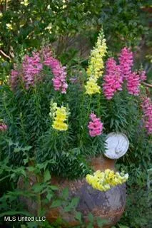 $375,000 | 176 Will Stutely Drive, Brandon, MS 39042