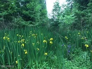 $375,000 | 176 Will Stutely Drive, Brandon, MS 39042