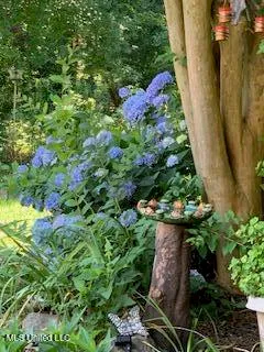 $375,000 | 176 Will Stutely Drive, Brandon, MS 39042