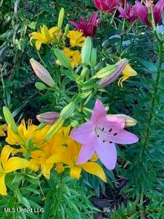 $375,000 | 176 Will Stutely Drive, Brandon, MS 39042