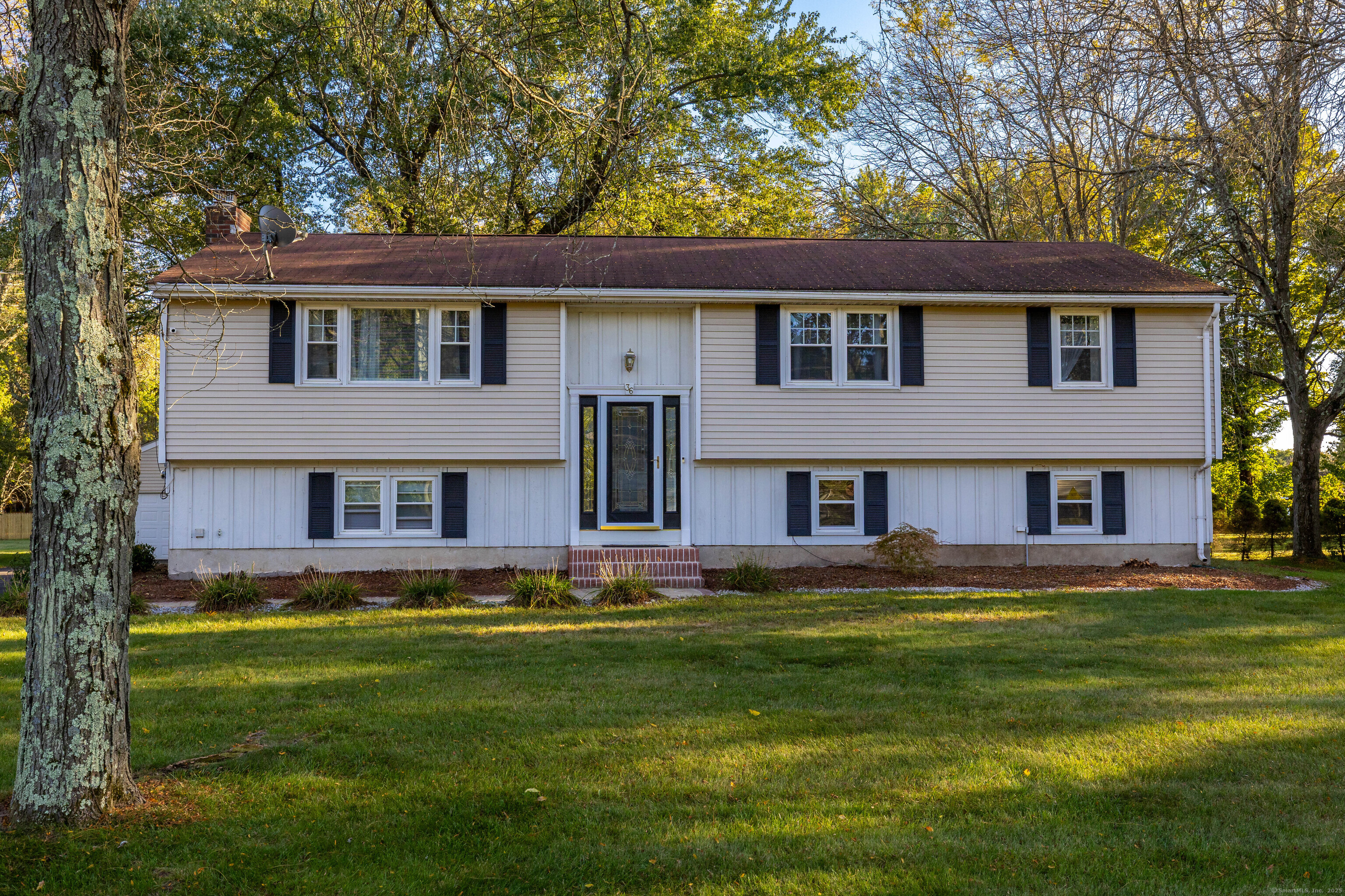 a front view of house with yard and green space