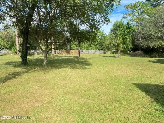 a view of a trees with a big yard
