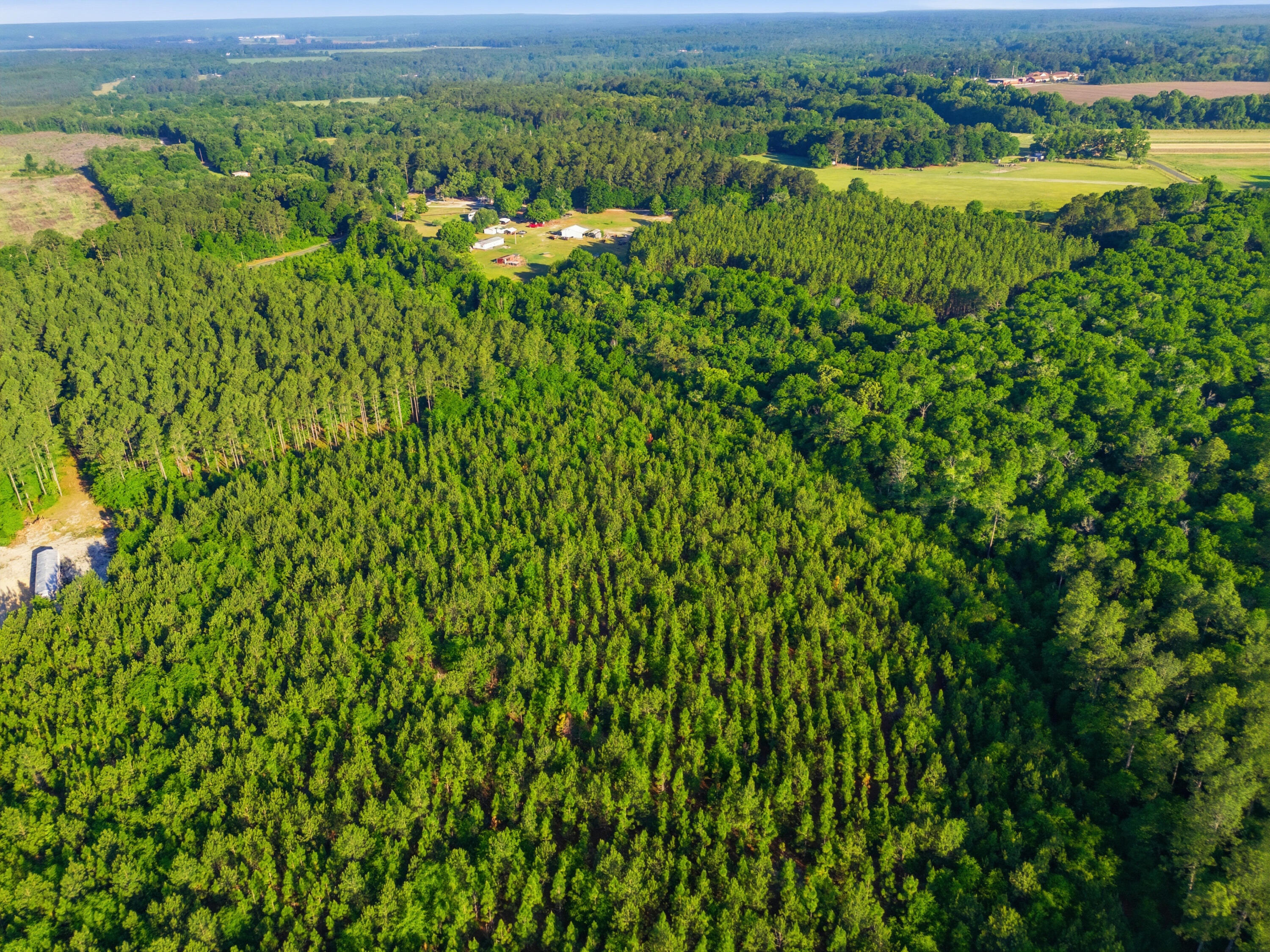 15-acres South Dixie Road Wagener, SC 29164 - Photo 7 of 8