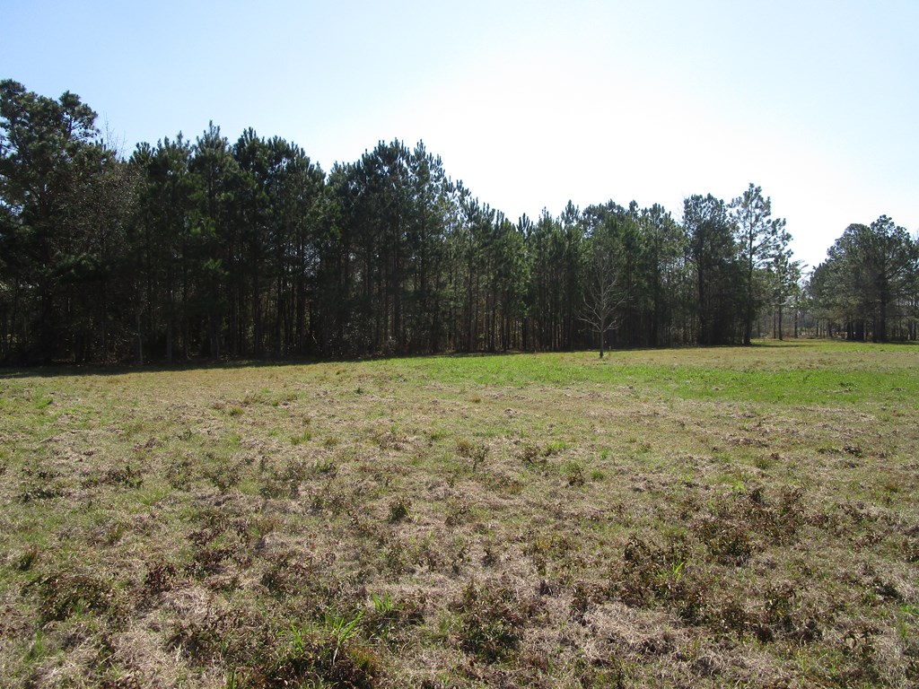 Tbd Lot 1 McCallister Road Dothan, AL 36301 - Photo 8 of 13