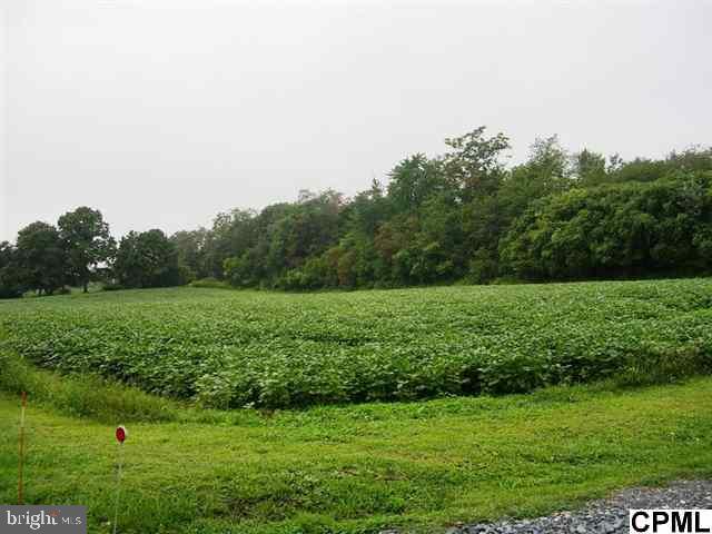 Lot 0 Pine Road Carlisle, PA 17015 - Photo 1 of 4 Gallery Image 1