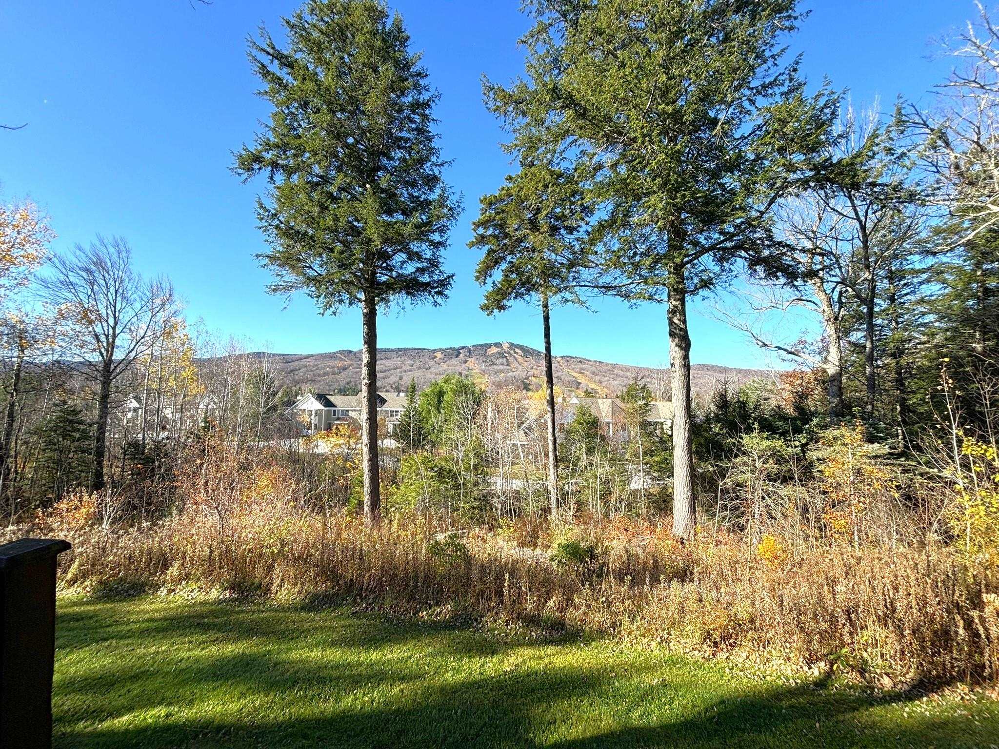28 C Greenspring Road, Unit GS U#16 West Dover, VT 05356 - Photo 26 of 35