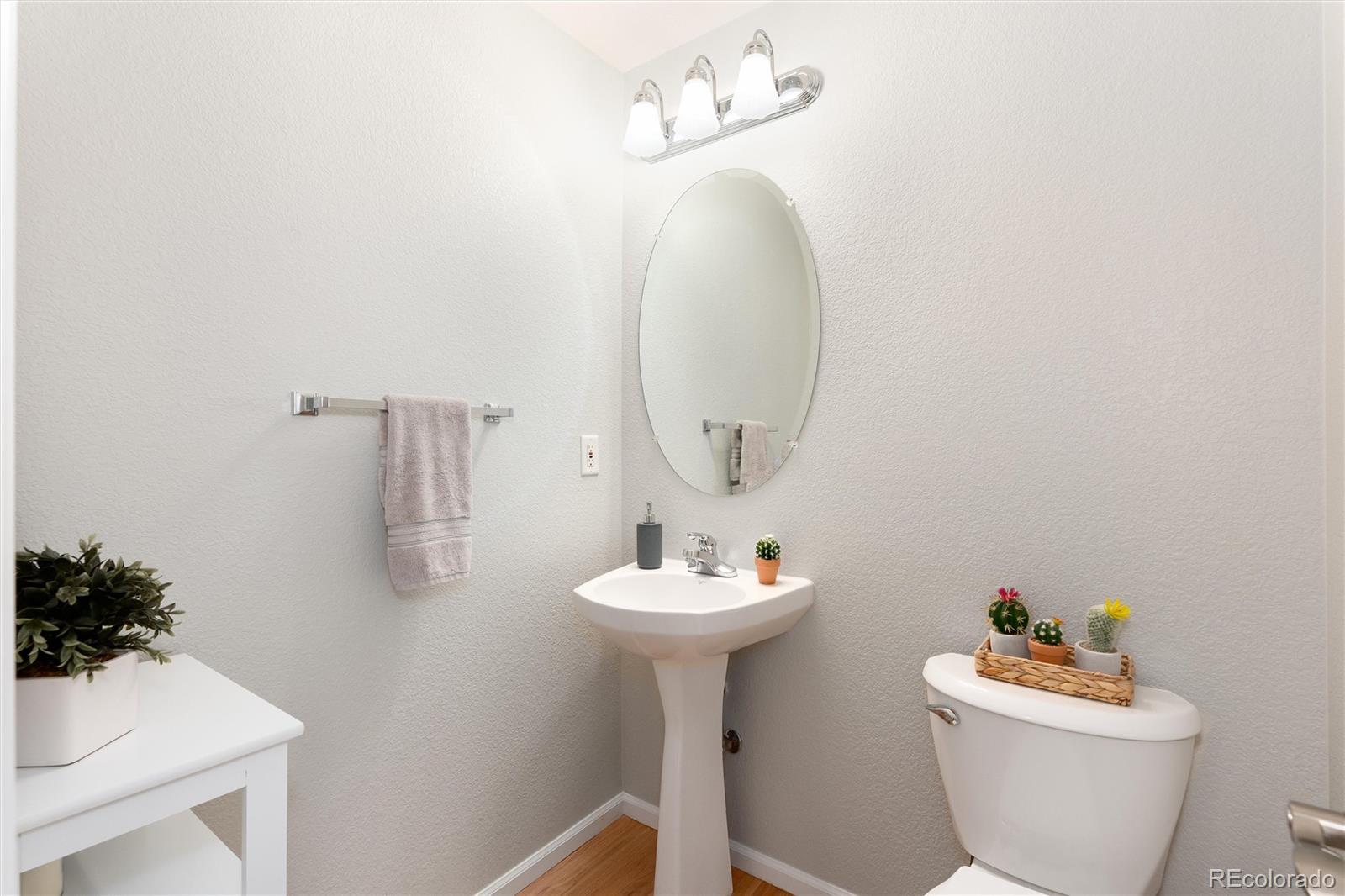10627 Cherrybrook Circle Highlands Ranch, CO 80126 - Photo 24 of 44 a bathroom with a sink mirror and toilet
