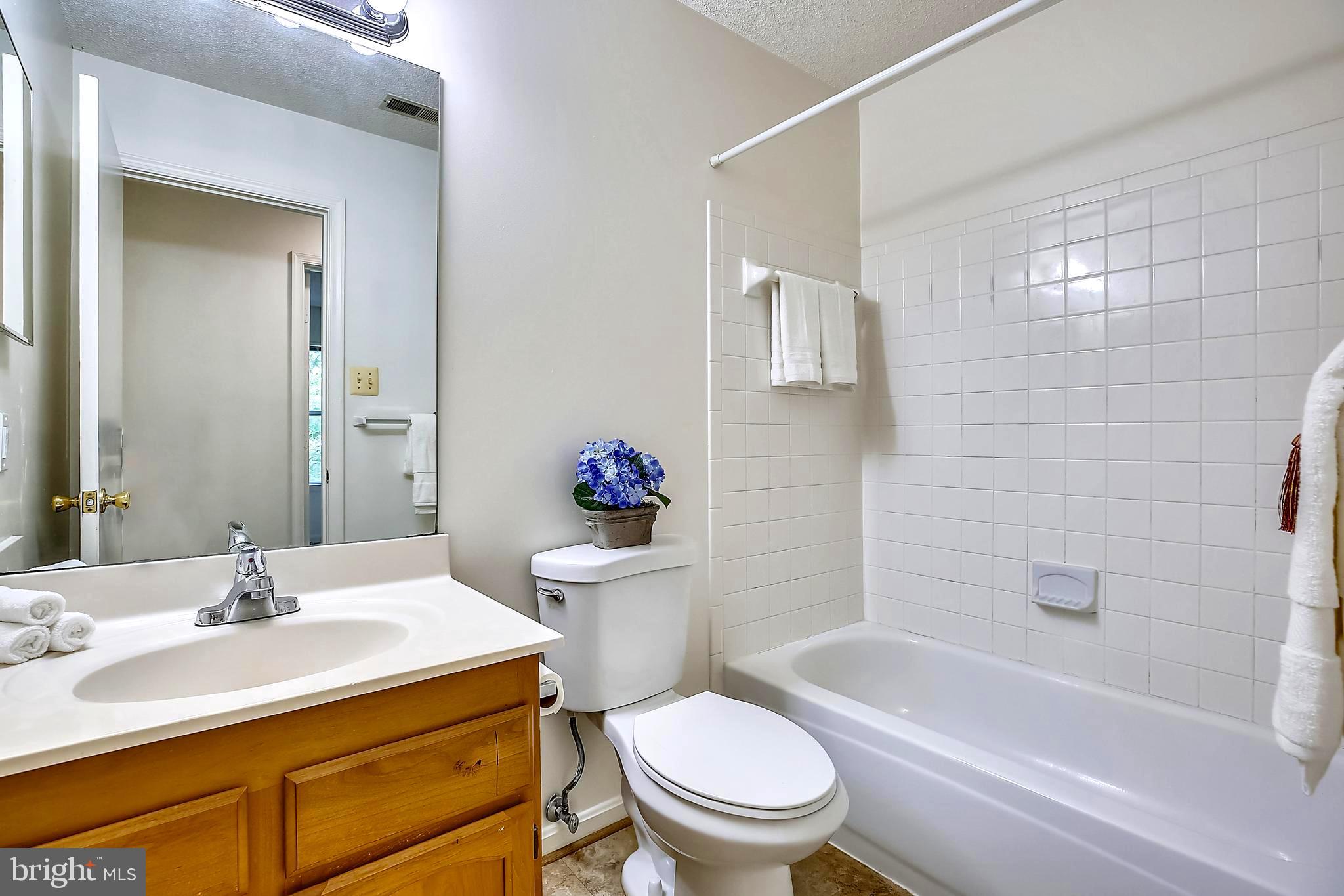 2600 Camelback Lane, Unit 10 Silver Spring, MD 20906 - Photo 11 of 39 Full hall bath with tub/shower combo