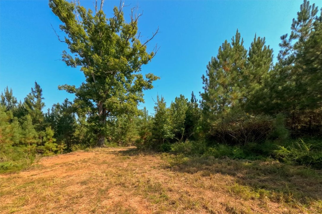 79.87-ac Sam Turner Road Iva, SC 29655 - Photo 6 of 18 Gallery Image 6