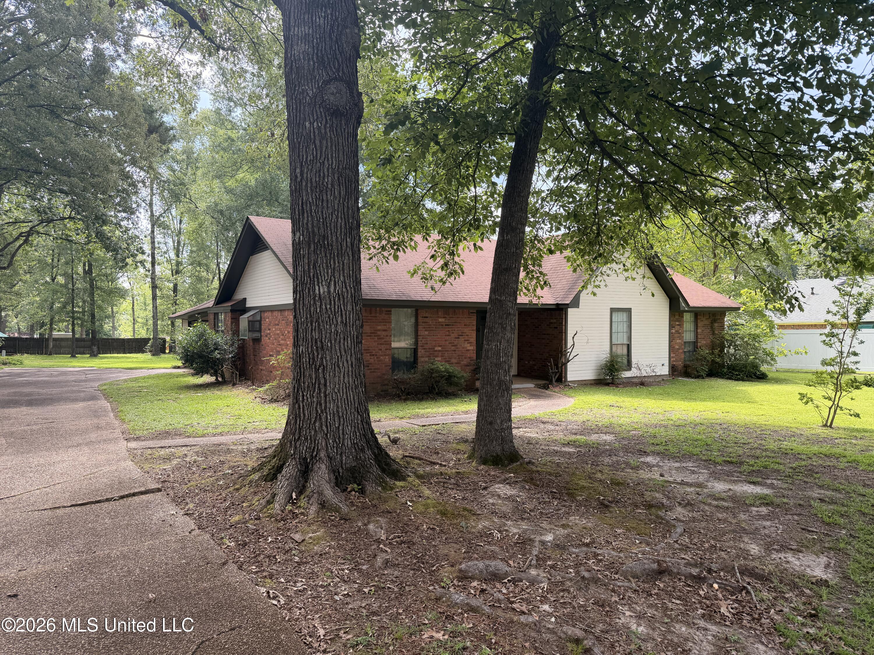 141 Plum Tree Road Brandon, MS 39047 - Photo 6 of 16 IMG_2528