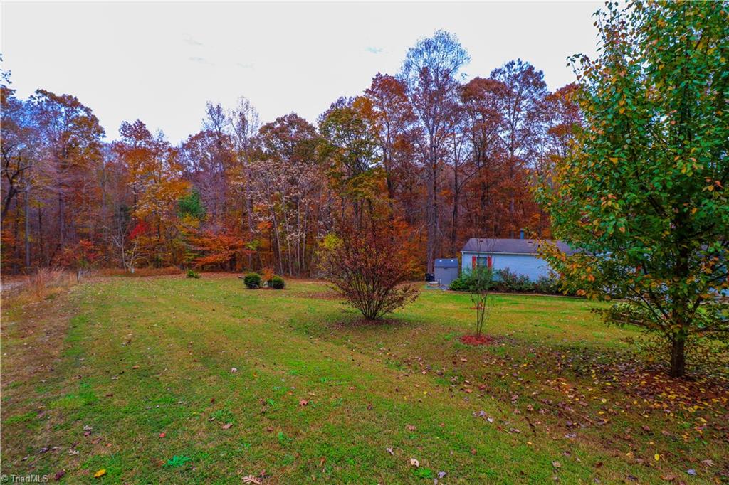 229 Monarch Road Summerfield, NC 27358 - Photo 38 of 40 Gallery Image 38