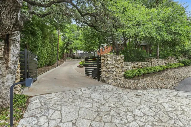 a view of a road with plants and trees