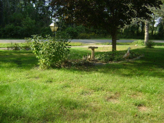 3572 Beeline Road Holland, MI 49424 - Photo 16 of 18 2015-09-15 14.33.45