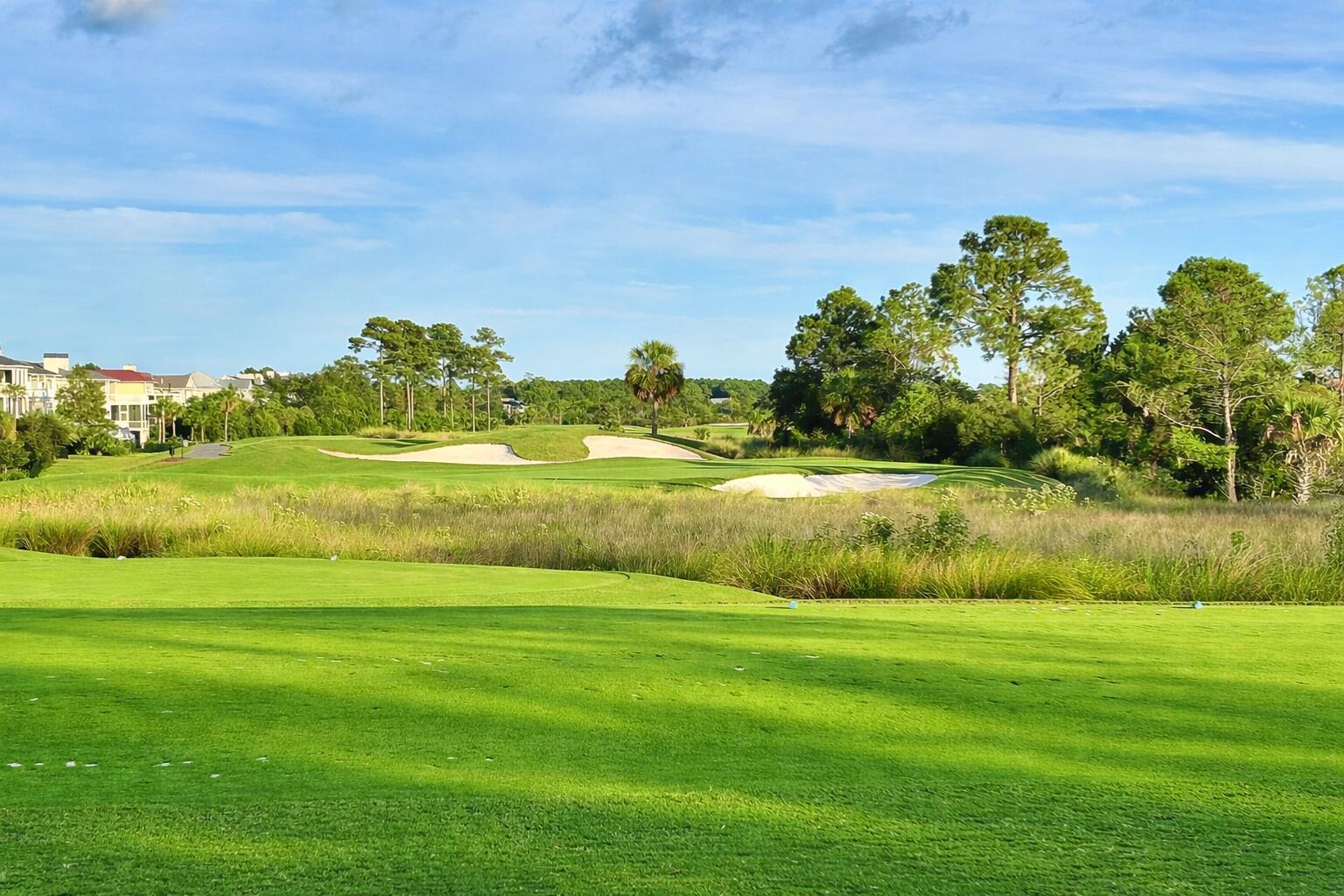 2725 Parkers Landing Road Mount Pleasant, SC 29466 - Photo 91 of 93 Rivertowne 6