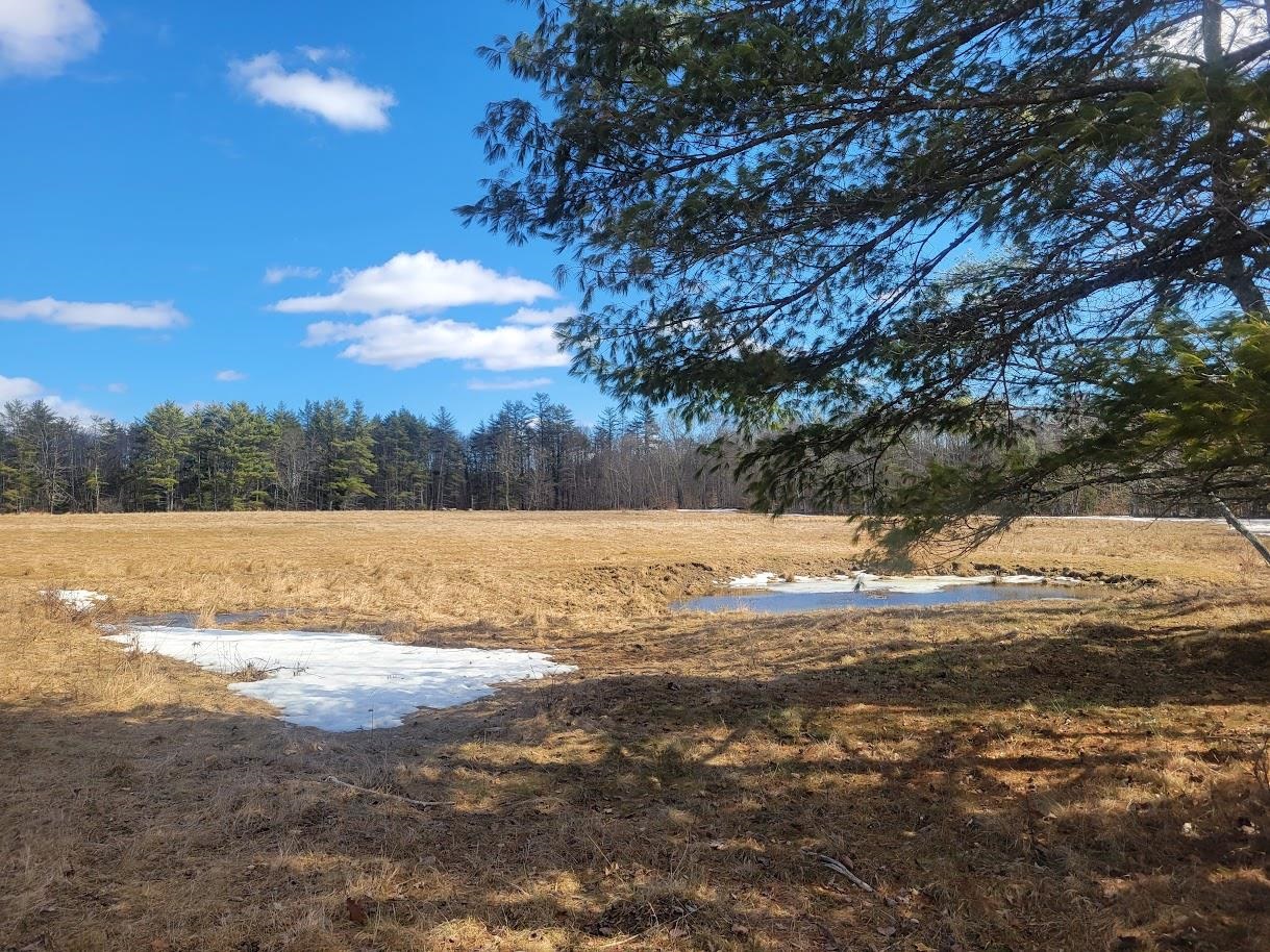 446 B Province Road Barnstead, NH 03218 - Photo 1 of 4