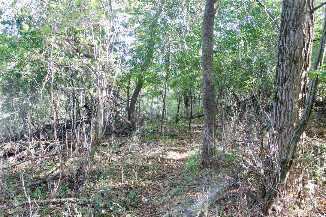 0 South Lowes Creek Road Eau Claire, WI 54701 - Photo 25 of 59