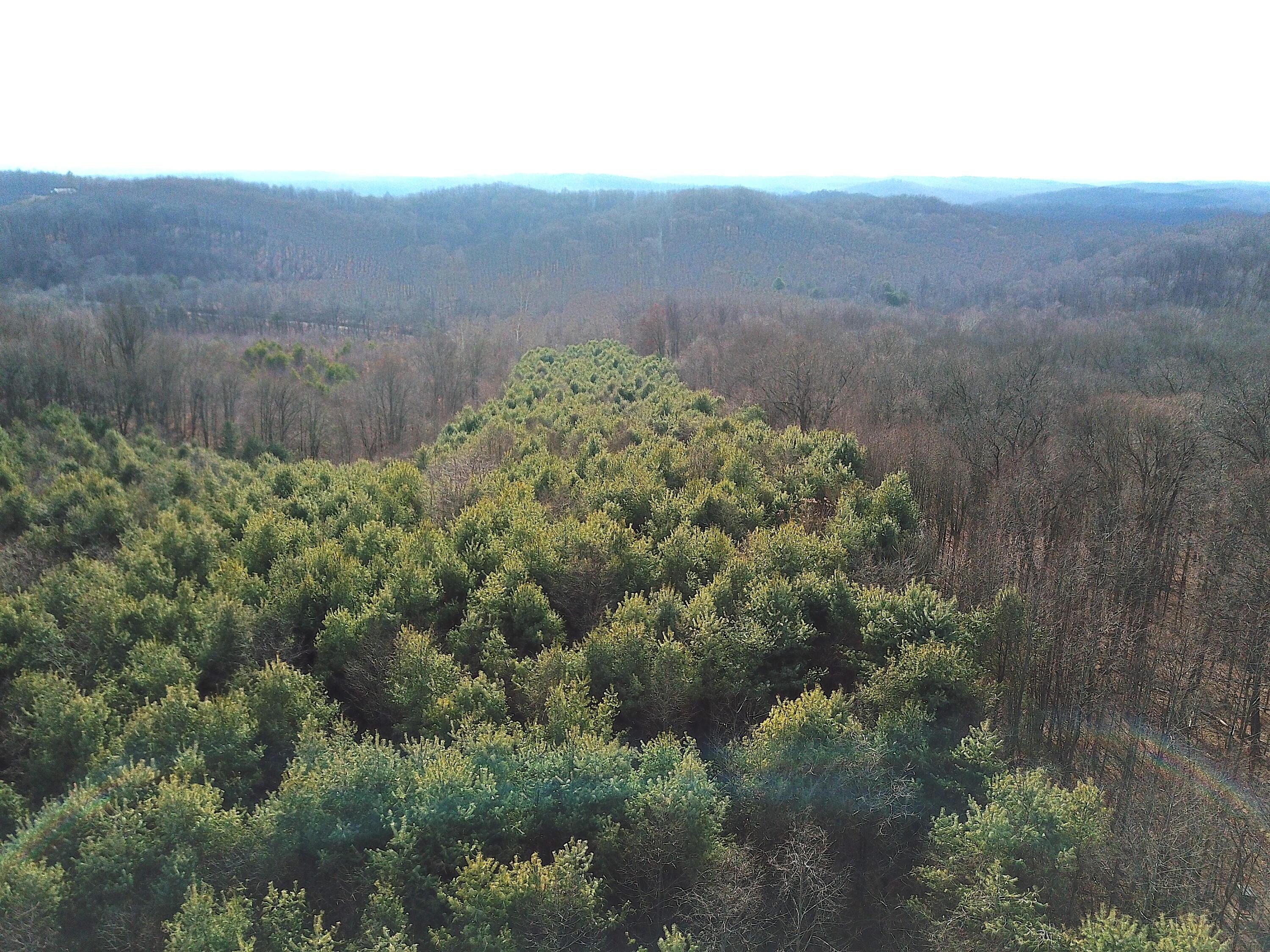 0 Minerton Chapel Road Vinton, OH 45686 - Photo 3 of 25 DJI_0240