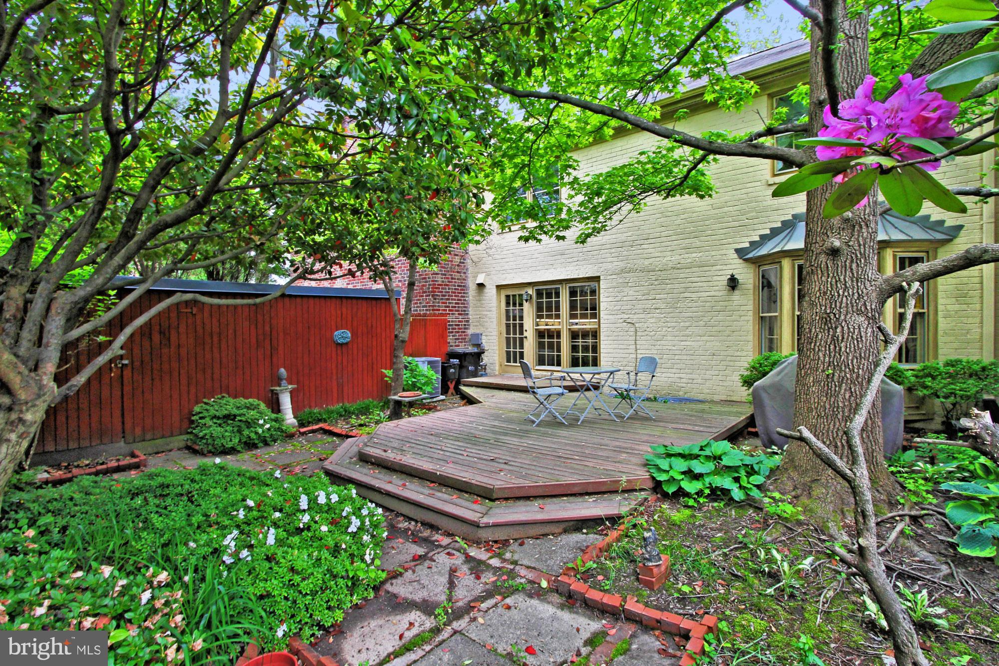 8330 Wickham Road Springfield, VA 22152 - Photo 38 of 41 Gorgeous trees and shrubs