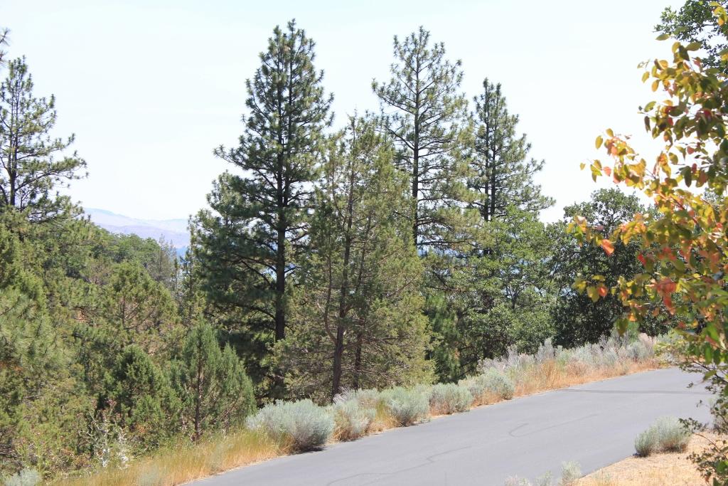 Murrelet Road Klamath Falls, OR 97601 - Photo 9 of 27 IMG_7755 (1024x683)
