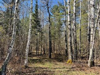 0 Ayer Ridge Road Freedom, ME 04941 - Photo 23 of 26 IMG_8784