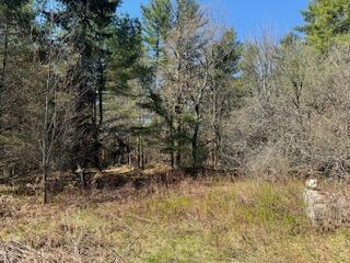 0 Ayer Ridge Road Freedom, ME 04941 - Photo 25 of 26 IMG_8786