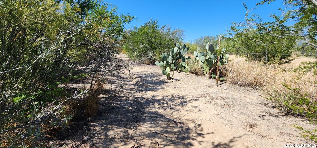 0 Loop 517 Carrizo Springs, TX 78834 - Photo 22 of 30