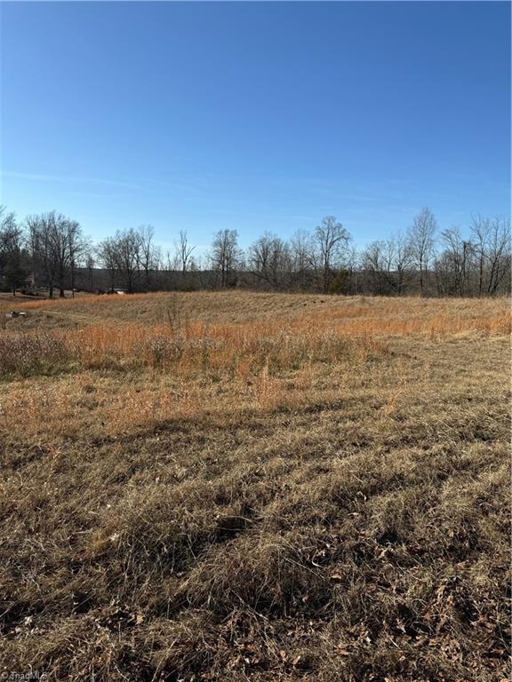 1295 Angell Road Madison, NC 27025 - Photo 17 of 22