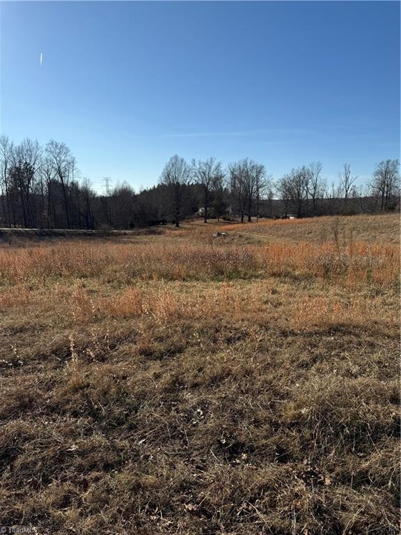 1295 Angell Road Madison, NC 27025 - Photo 18 of 22