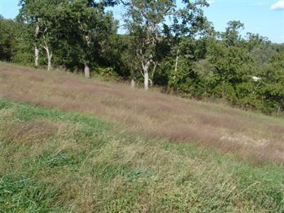 0 Forest Lake Drive Reeds Spring, MO 65737 - Photo 1 of 1 Primary Photo