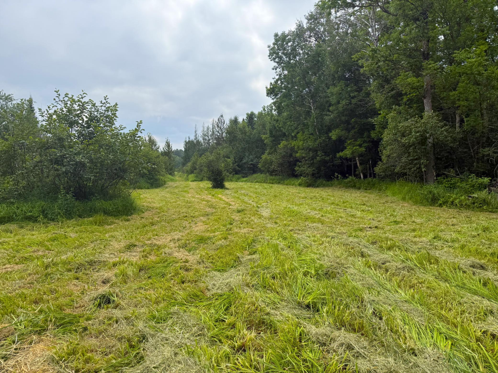 42050 Little Pine Road Emily, MN 56447 - Photo 115 of 141