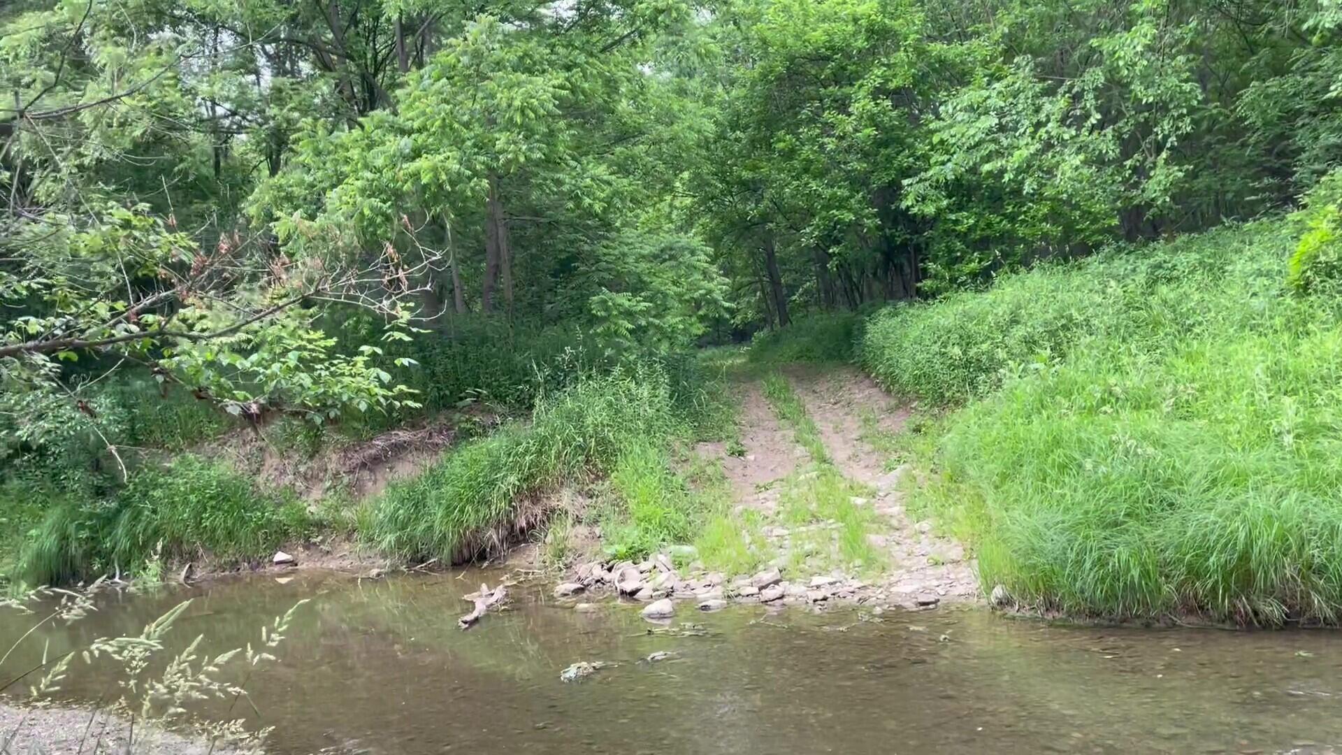 25060 East Liberty Road Raymond, OH 43067 - Photo 97 of 103 Creek