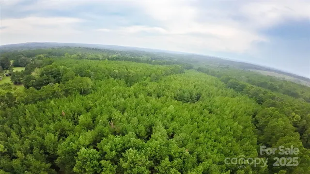 $475,000 | 101-ac Woods Ferry Road, Carlisle, SC 29031