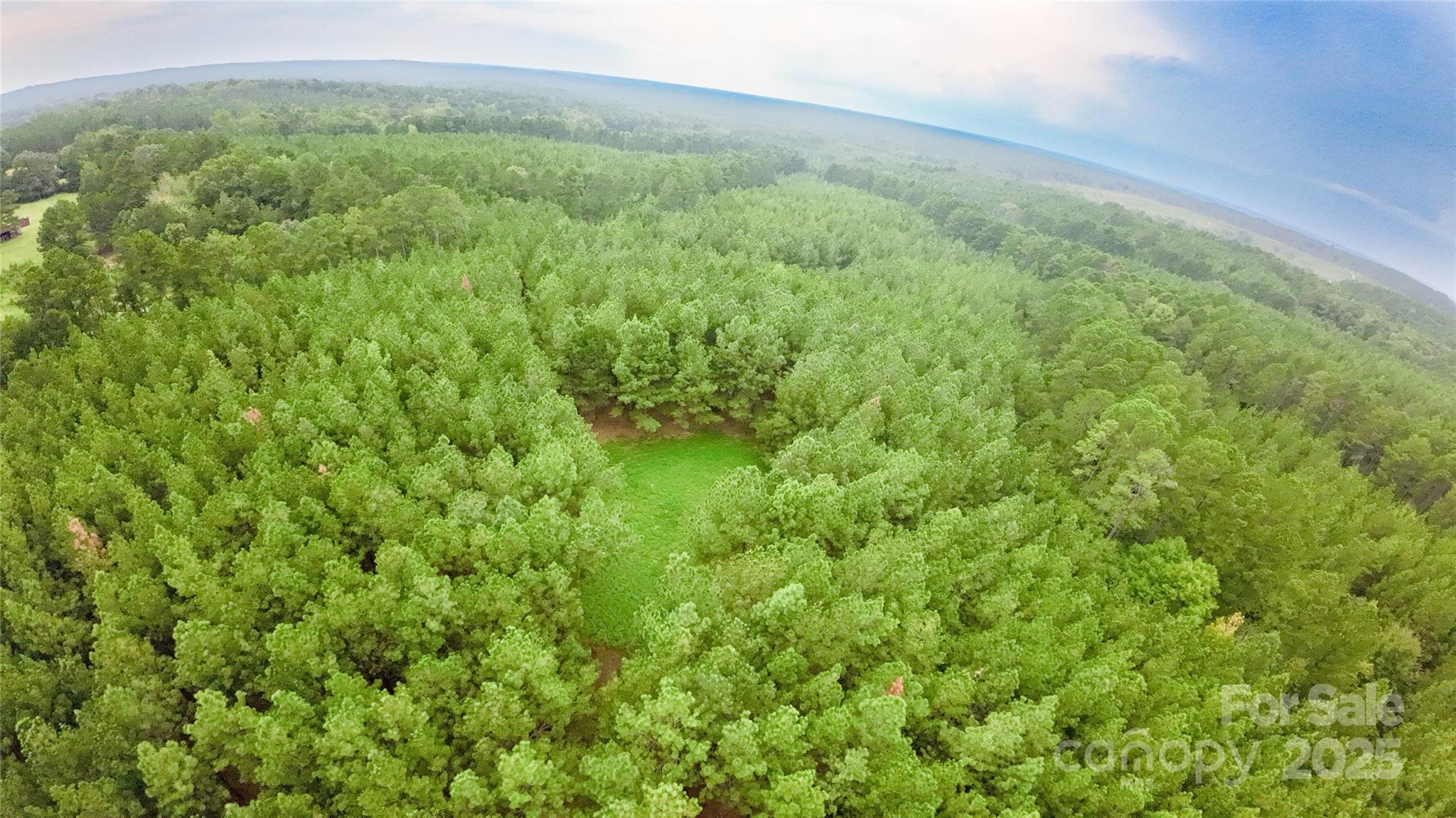 101-ac Woods Ferry Road Carlisle, SC 29031 - Photo 11 of 29