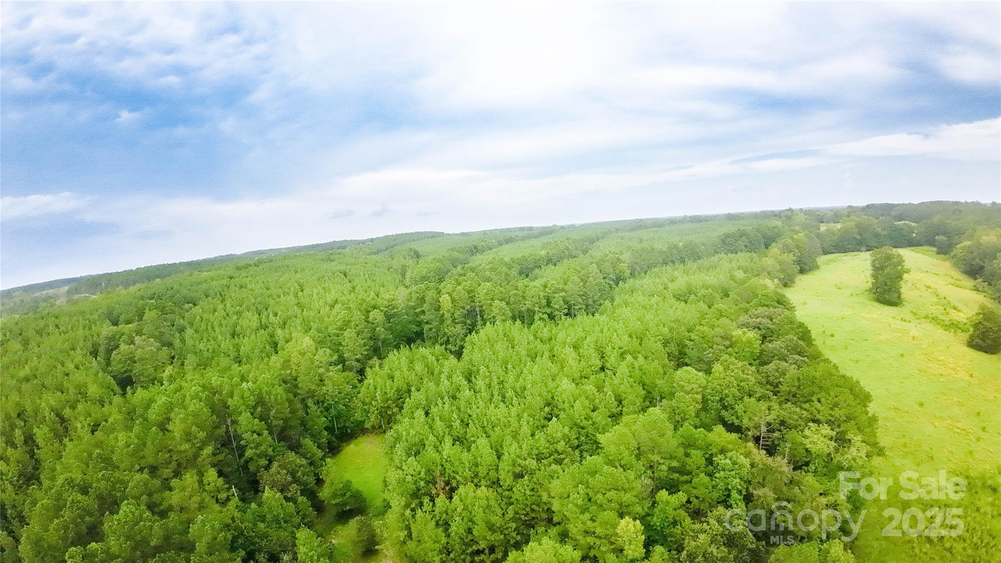 101-ac Woods Ferry Road Carlisle, SC 29031 - Photo 12 of 29