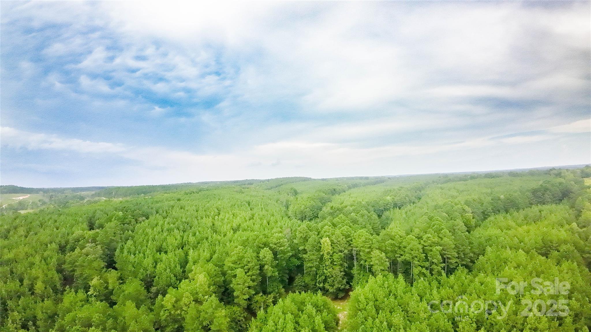 101-ac Woods Ferry Road Carlisle, SC 29031 - Photo 14 of 29