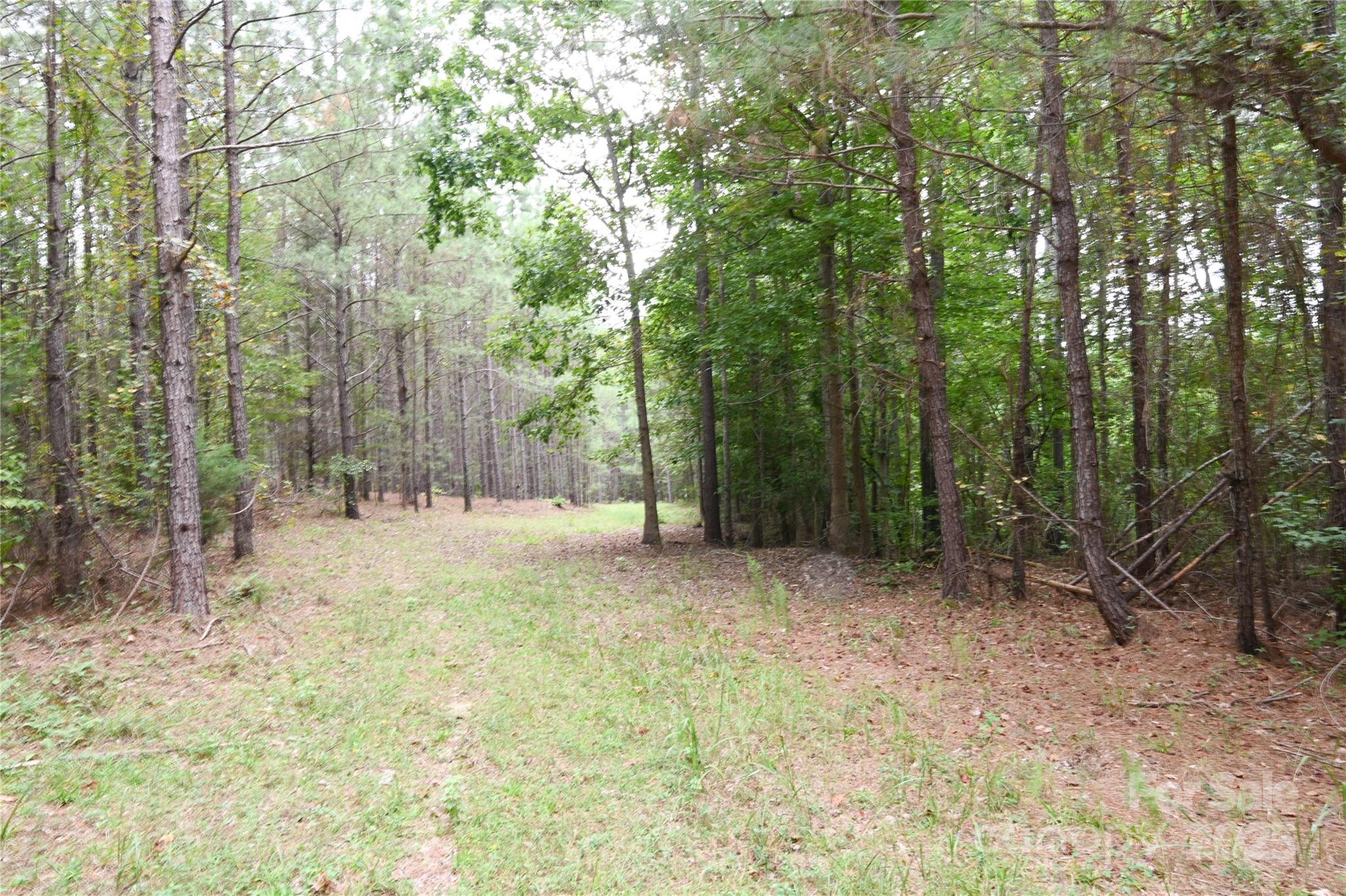 101-ac Woods Ferry Road Carlisle, SC 29031 - Photo 19 of 29