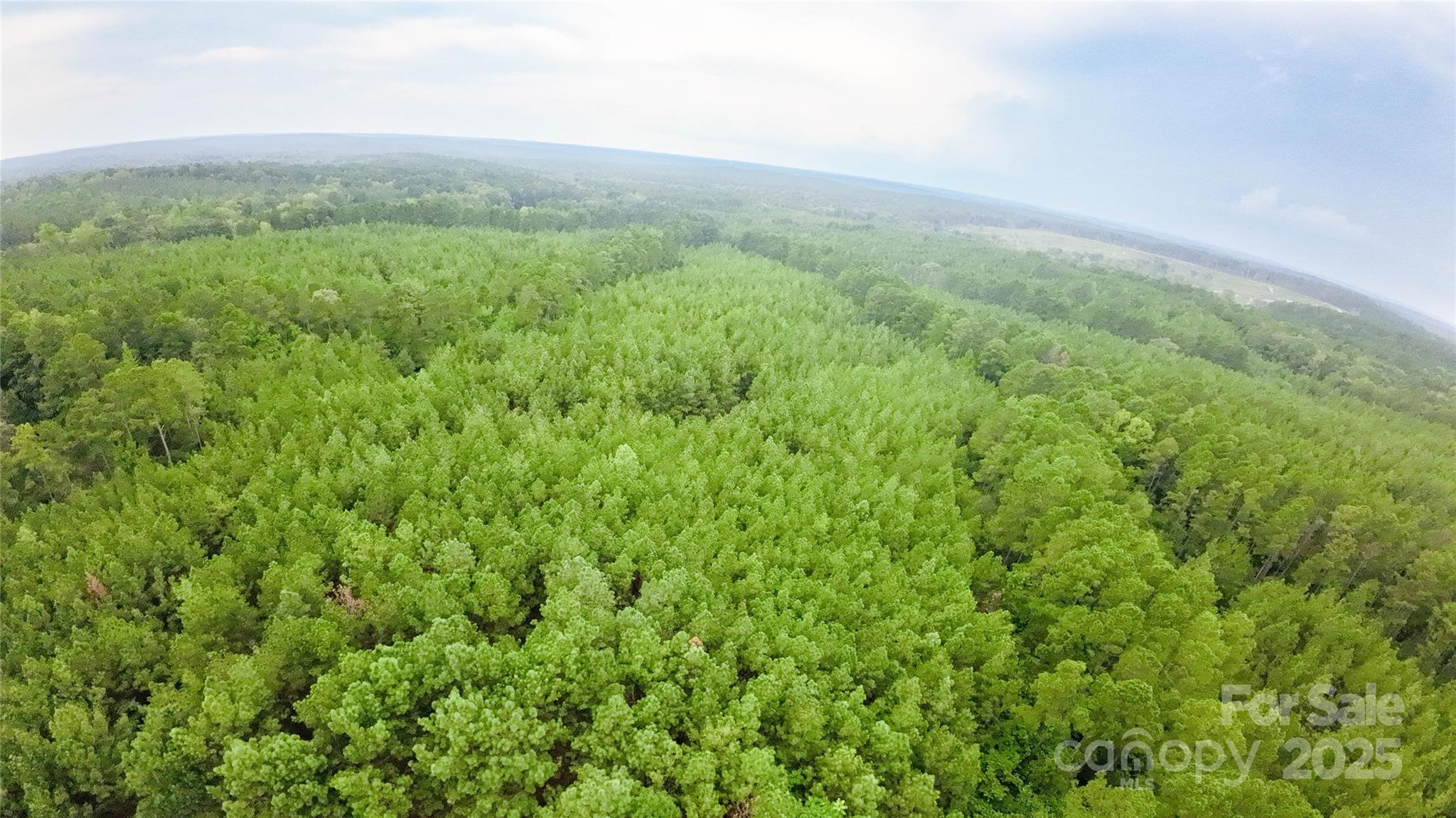 101-ac Woods Ferry Road Carlisle, SC 29031 - Photo 2 of 29