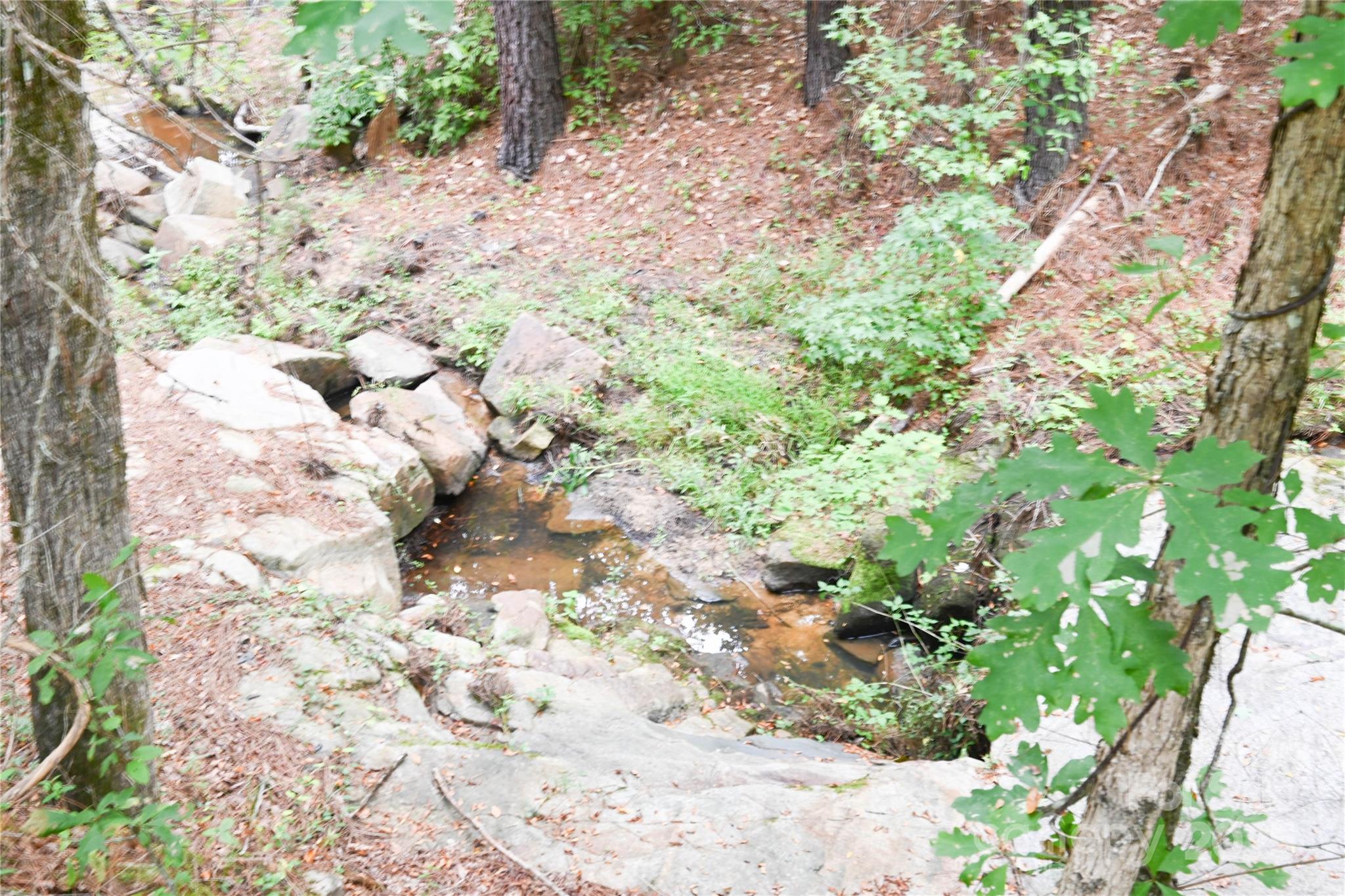 101-ac Woods Ferry Road Carlisle, SC 29031 - Photo 21 of 29