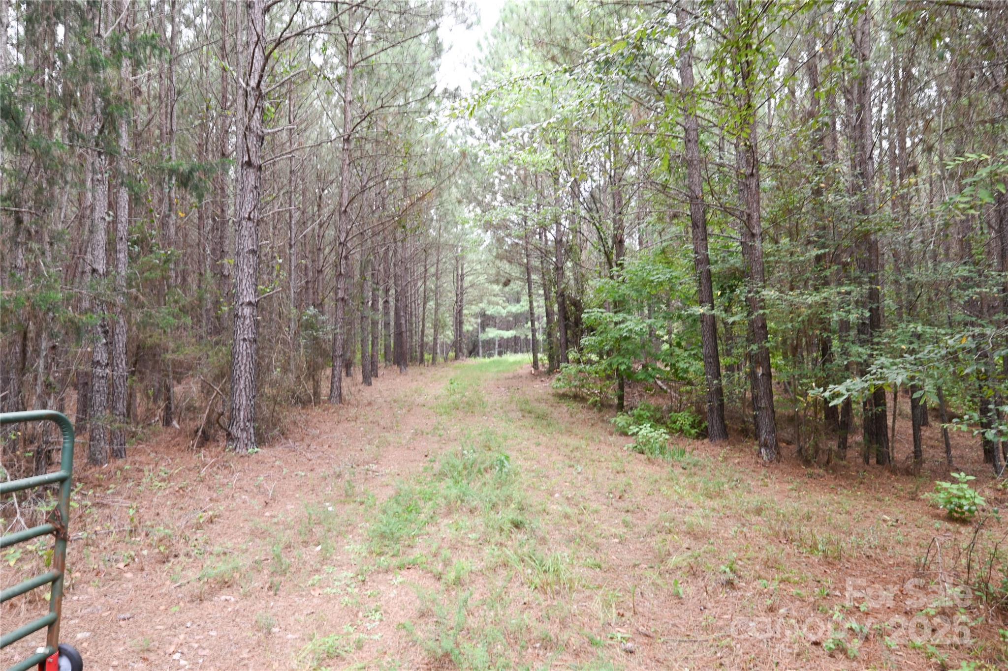 101-ac Woods Ferry Road Carlisle, SC 29031 - Photo 22 of 29