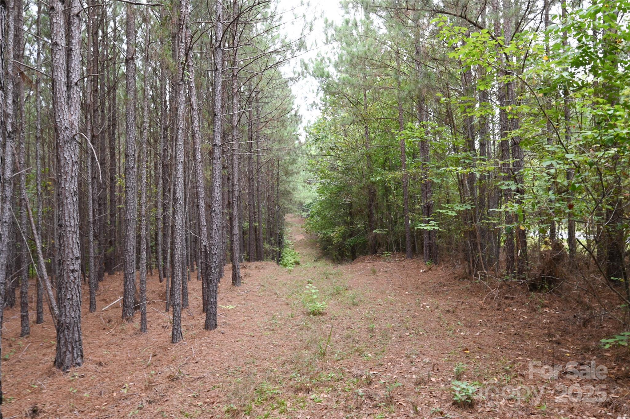 101-ac Woods Ferry Road Carlisle, SC 29031 - Photo 23 of 29