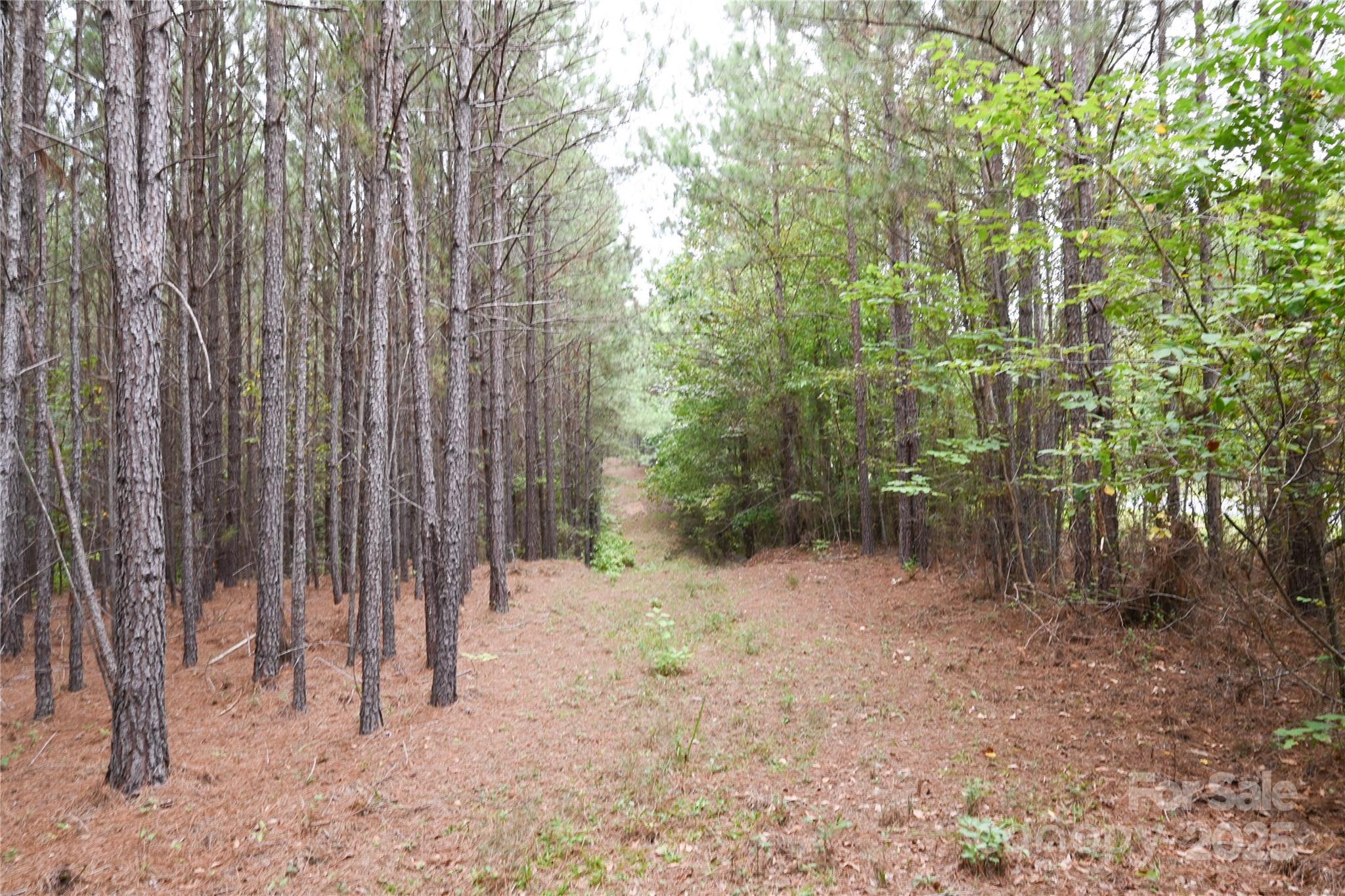 101-ac Woods Ferry Road Carlisle, SC 29031 - Photo 24 of 29