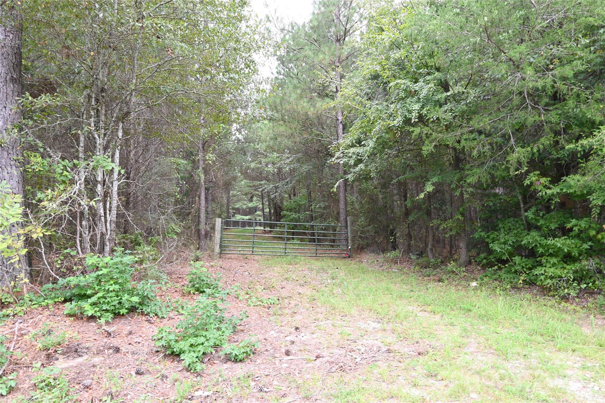 101-ac Woods Ferry Road Carlisle, SC 29031 - Photo 27 of 29